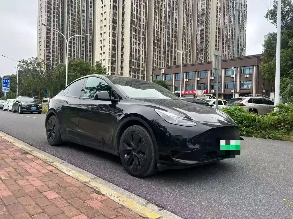 Tesla Model Y — фото 3