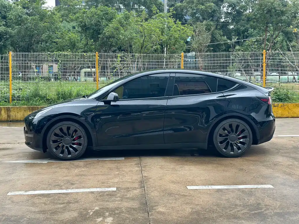 Tesla Model Y — фото 3