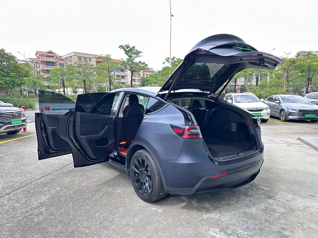 Tesla Model Y — фото 19