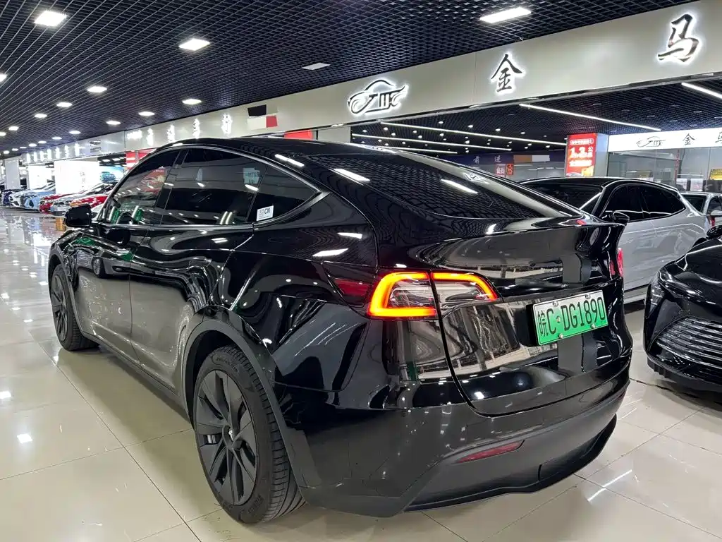 Tesla Model Y — фото 6