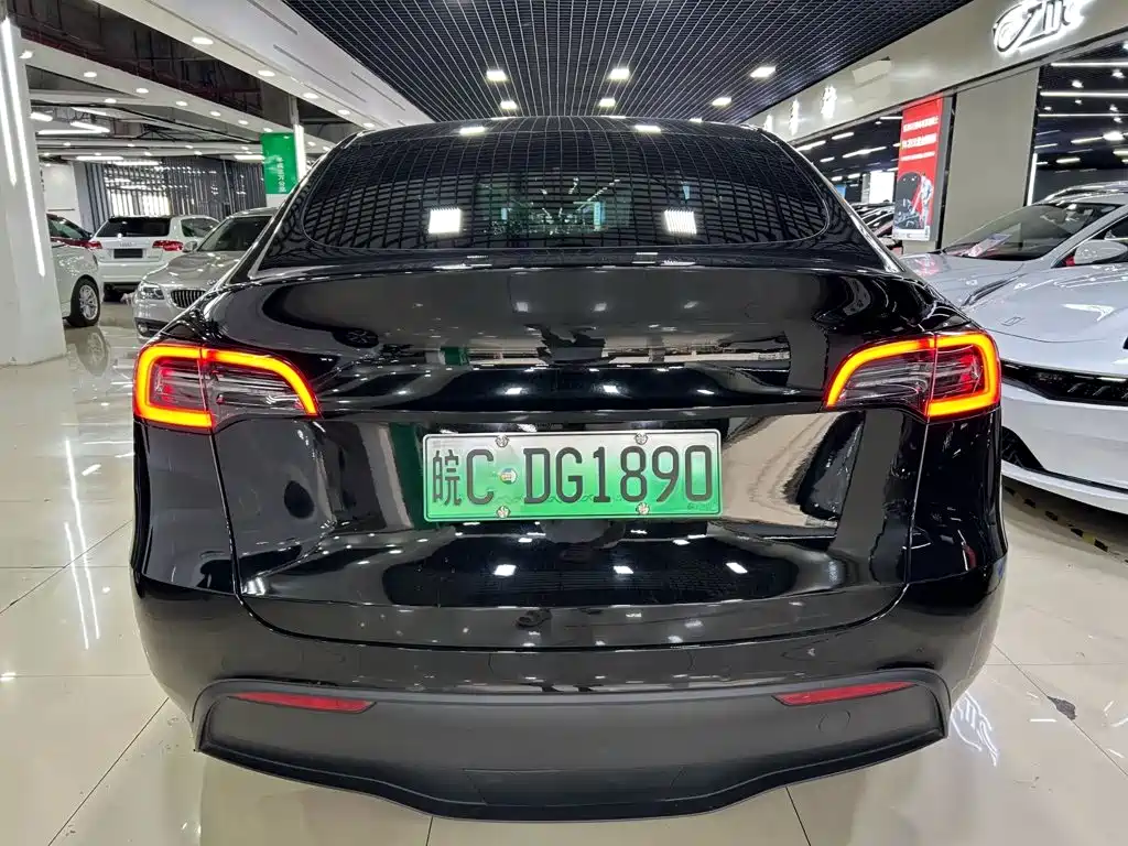 Tesla Model Y — фото 7
