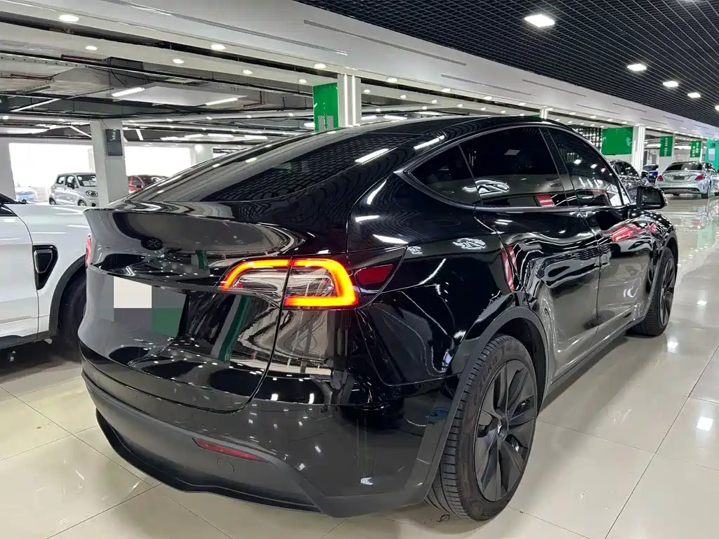 Tesla Model Y — фото 8