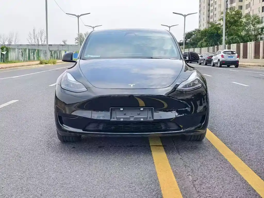 Tesla Model Y — фото 2