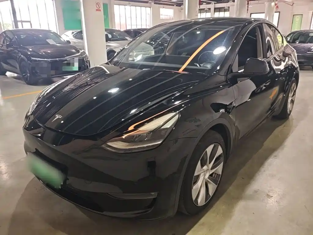 Tesla Model Y — фото 2