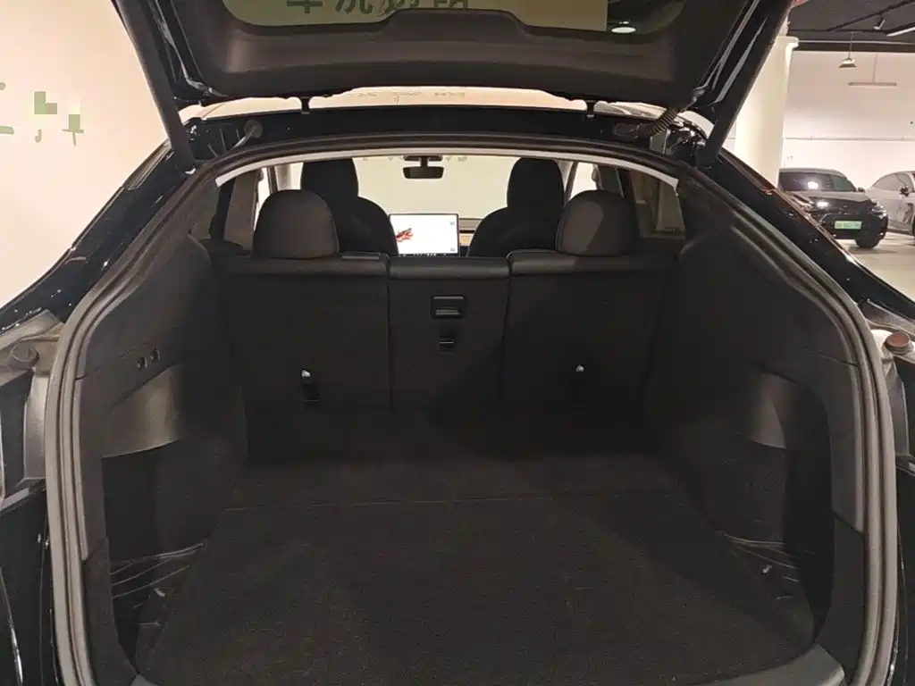 Tesla Model Y — фото 19