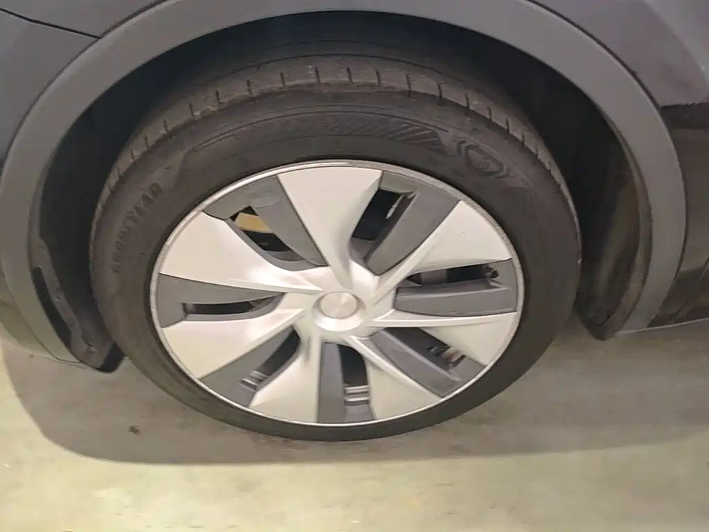 Tesla Model Y — фото 23