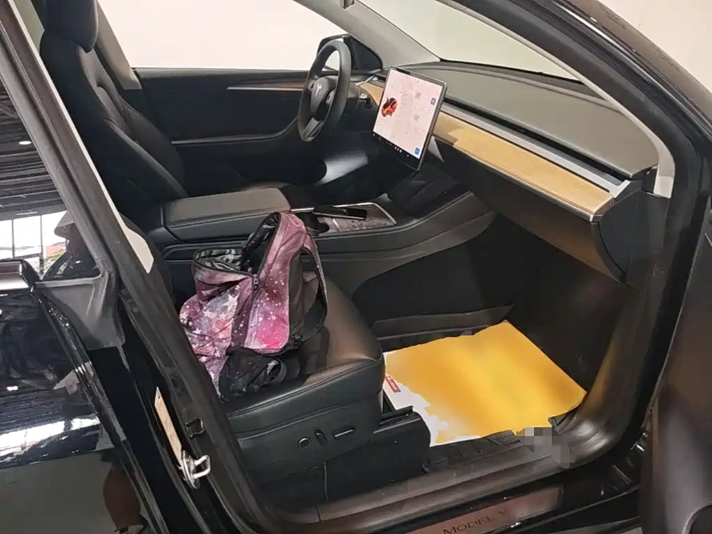 Tesla Model Y — фото 25