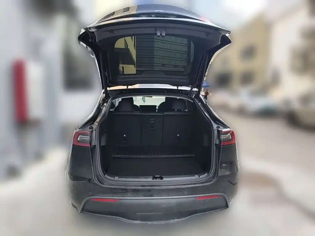 Tesla Model Y — фото 24