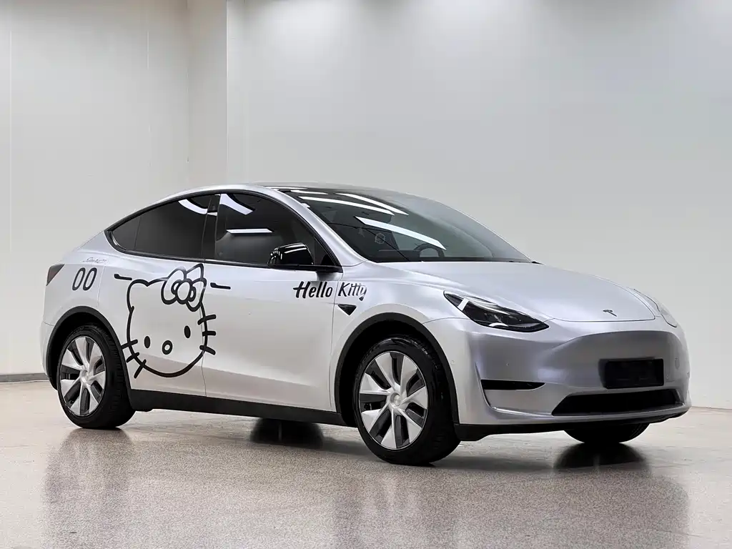 Tesla Model Y — фото 3
