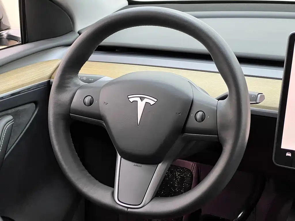 Tesla Model Y — фото 23