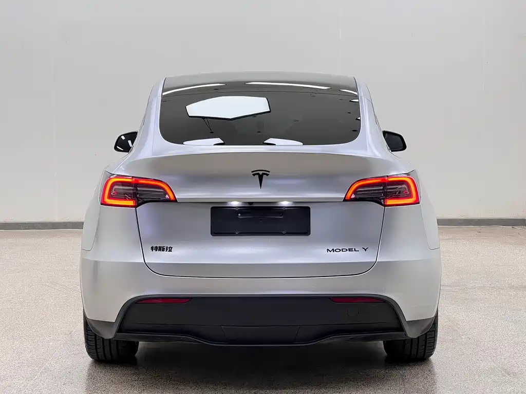 Tesla Model Y — фото 5