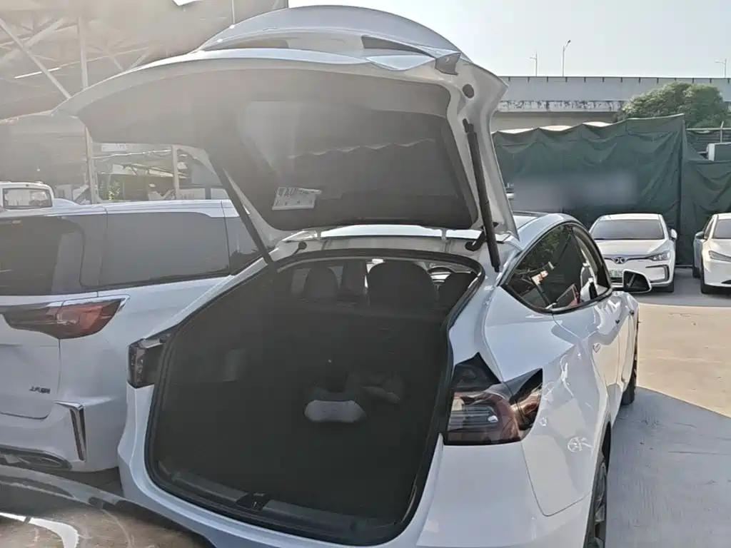 Tesla Model Y — фото 19