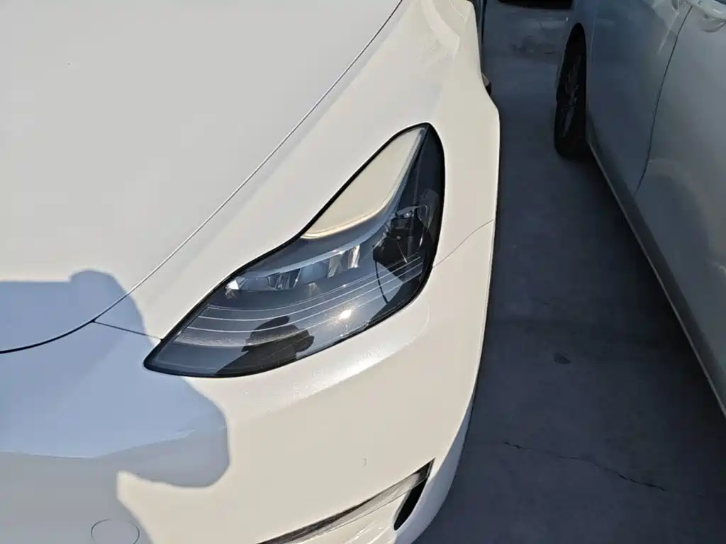 Tesla Model Y — фото 24