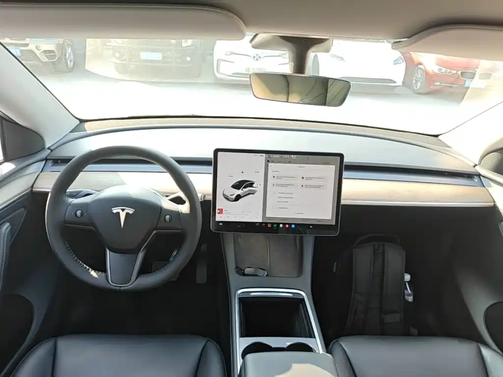 Tesla Model Y — фото 10