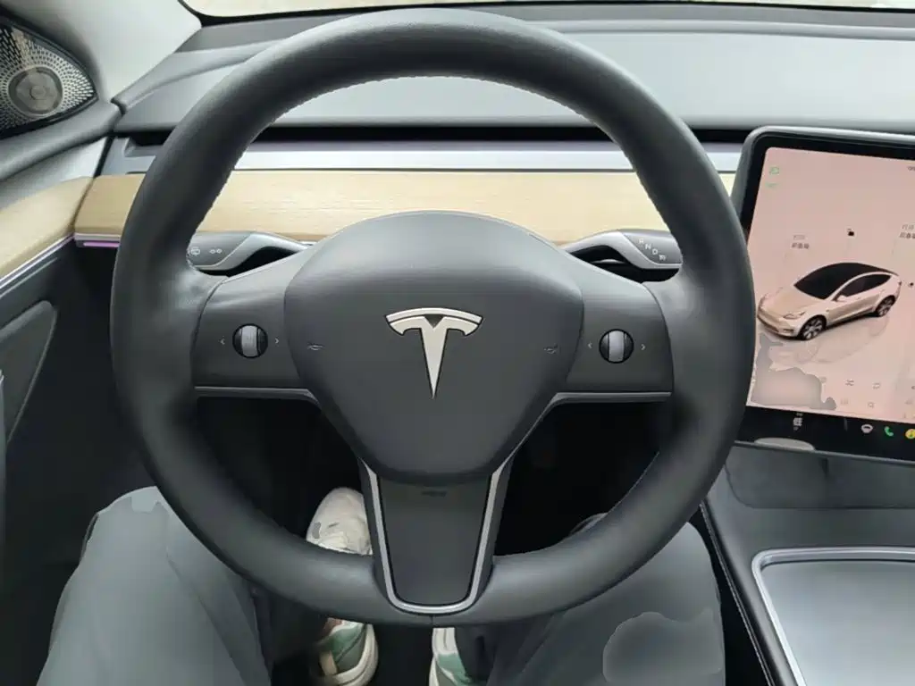 Tesla Model Y — фото 11
