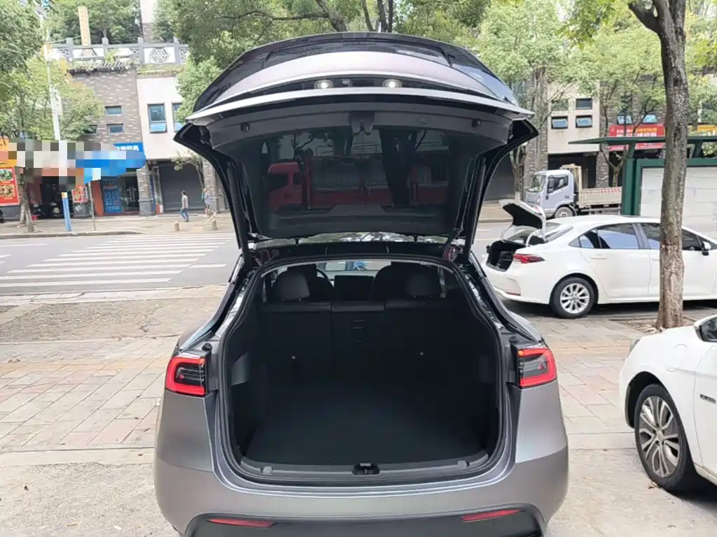 Tesla Model Y — фото 19