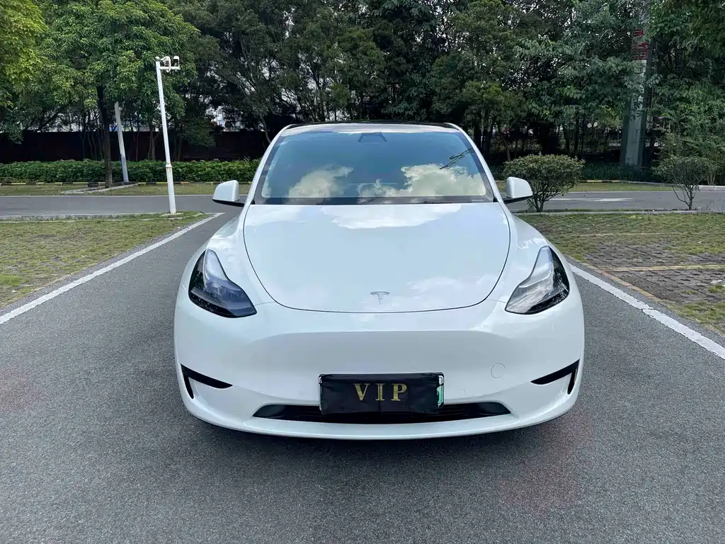 Tesla Model Y — фото 2