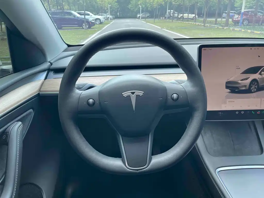 Tesla Model Y — фото 17