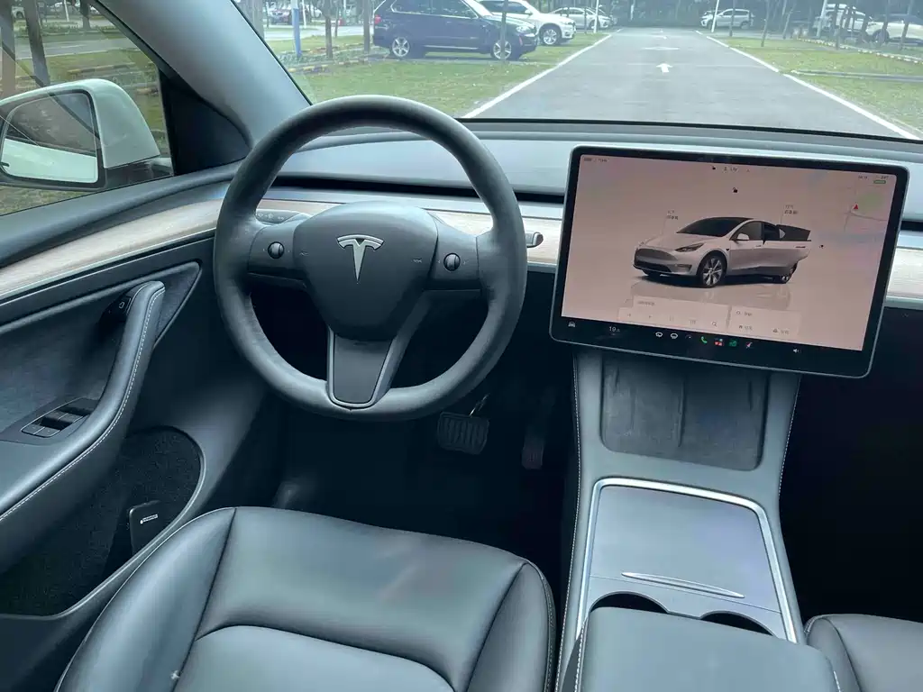 Tesla Model Y — фото 18