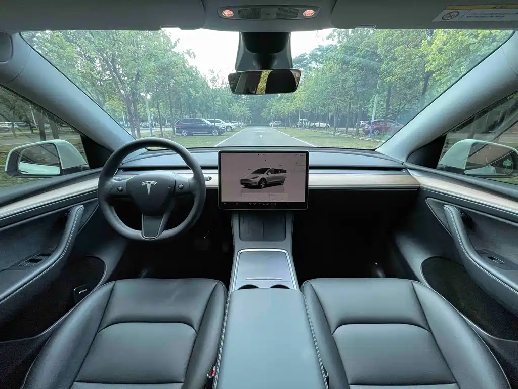 Tesla Model Y — фото 19