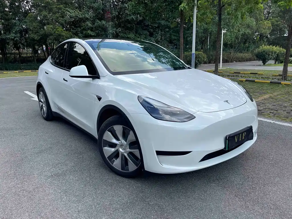 Tesla Model Y — фото 3