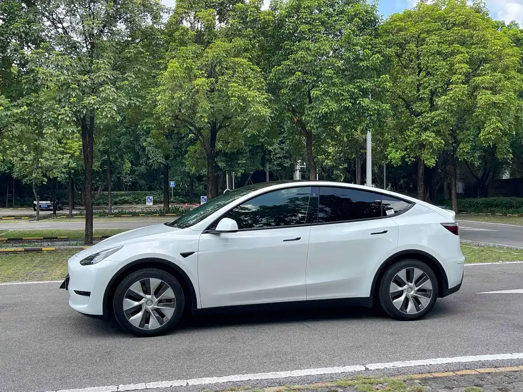 Tesla Model Y — фото 7