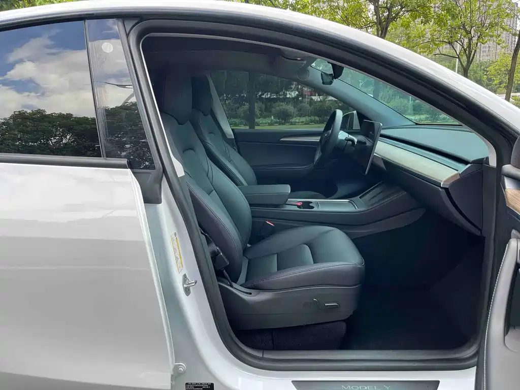 Tesla Model Y — фото 10