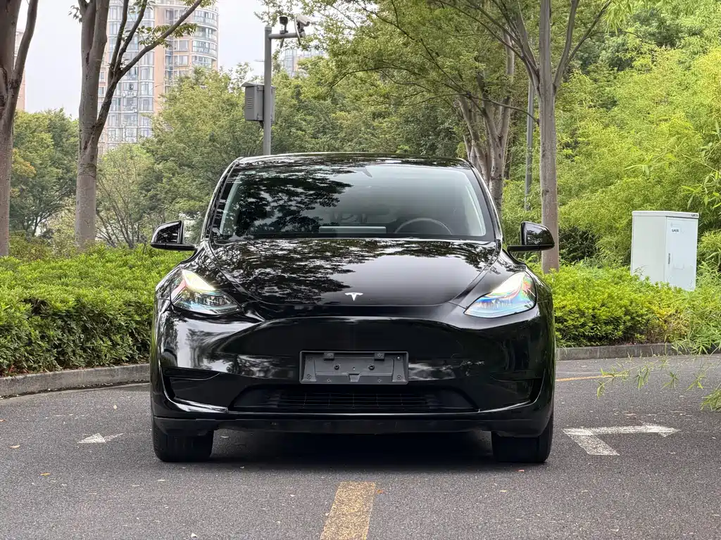 Tesla Model Y — фото 2