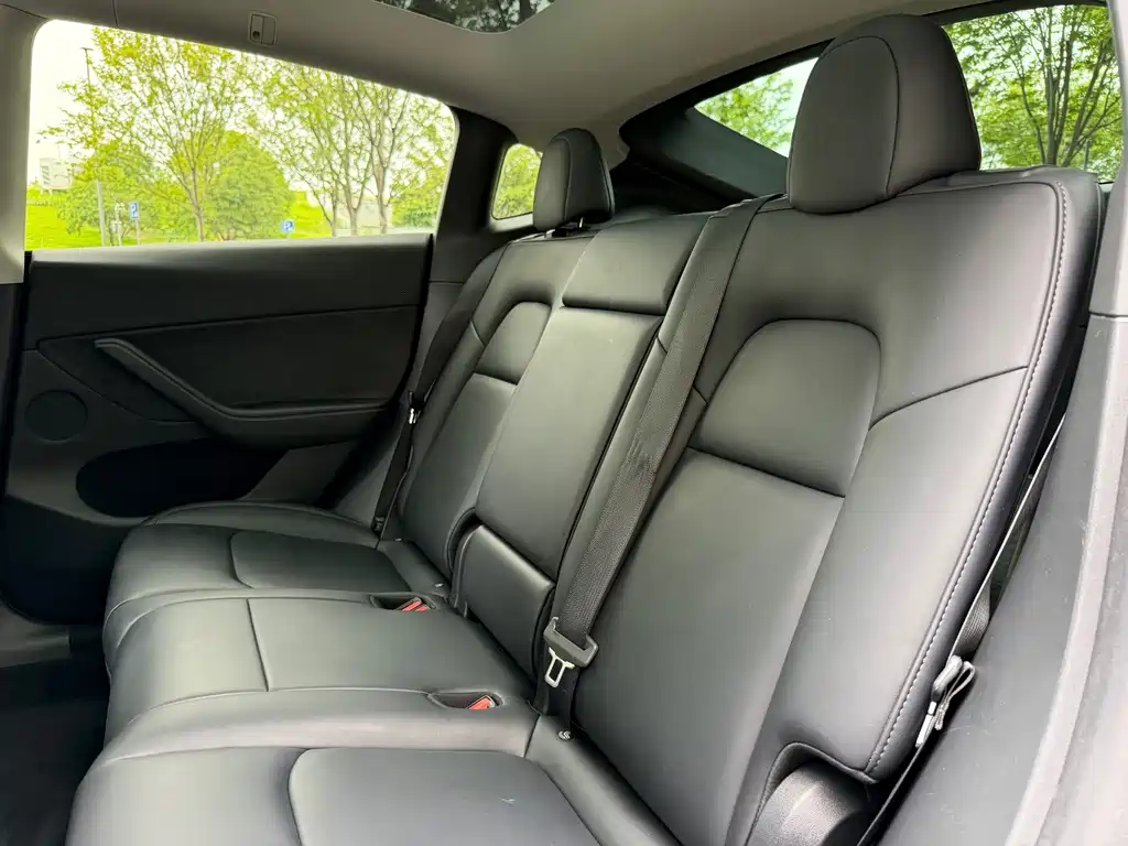 Tesla Model Y — фото 14