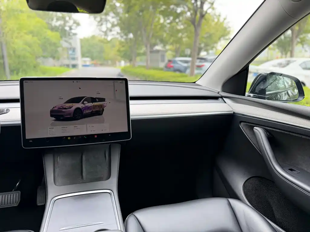 Tesla Model Y — фото 17