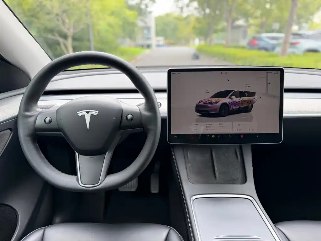 Tesla Model Y — фото 18