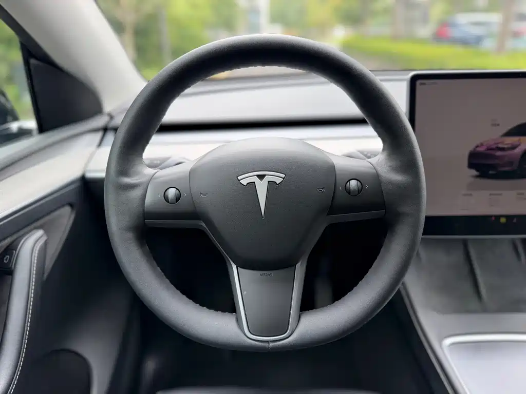 Tesla Model Y — фото 19