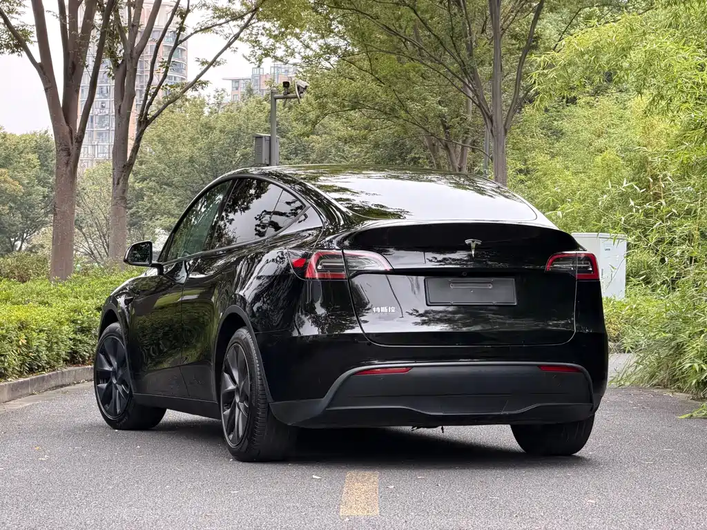 Tesla Model Y — фото 4