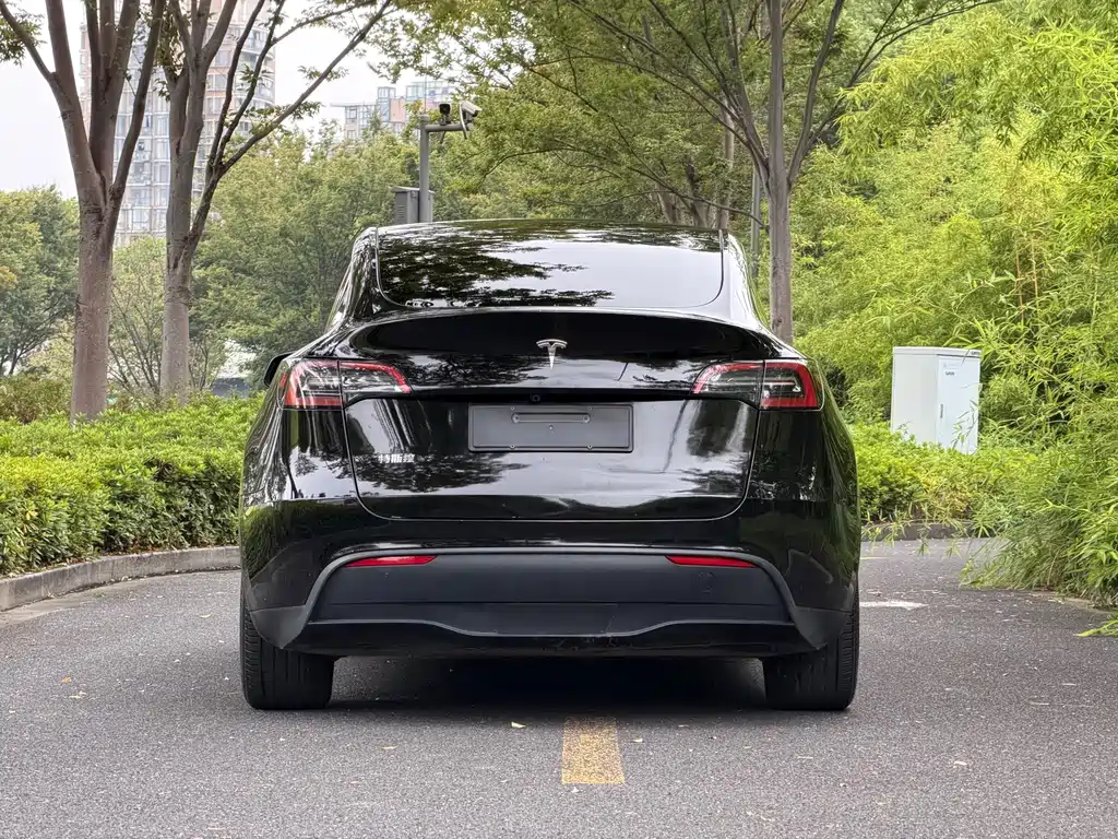 Tesla Model Y — фото 5