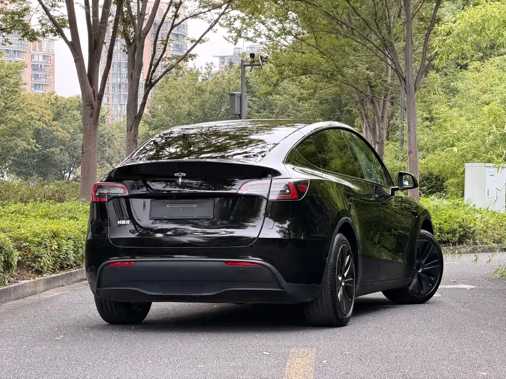 Tesla Model Y — фото 6