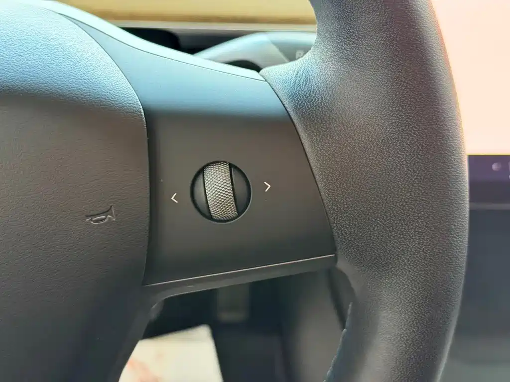 Tesla Model Y — фото 11