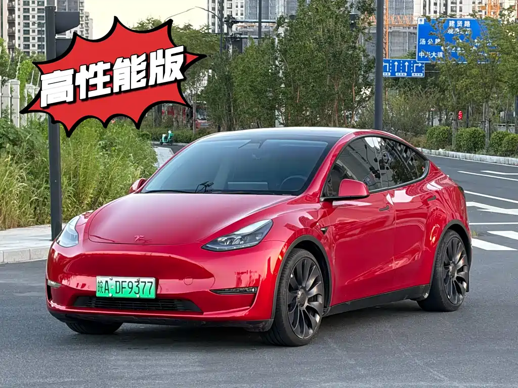 Tesla Model Y — фото 2