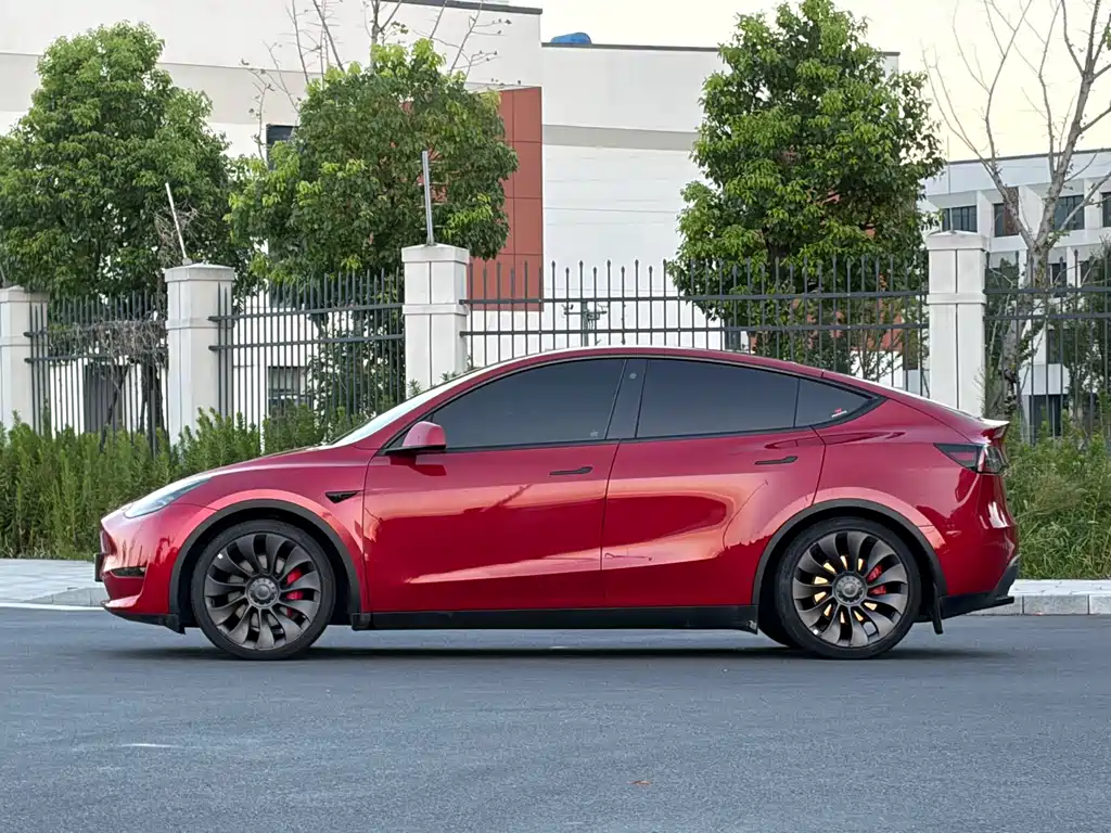 Tesla Model Y — фото 3