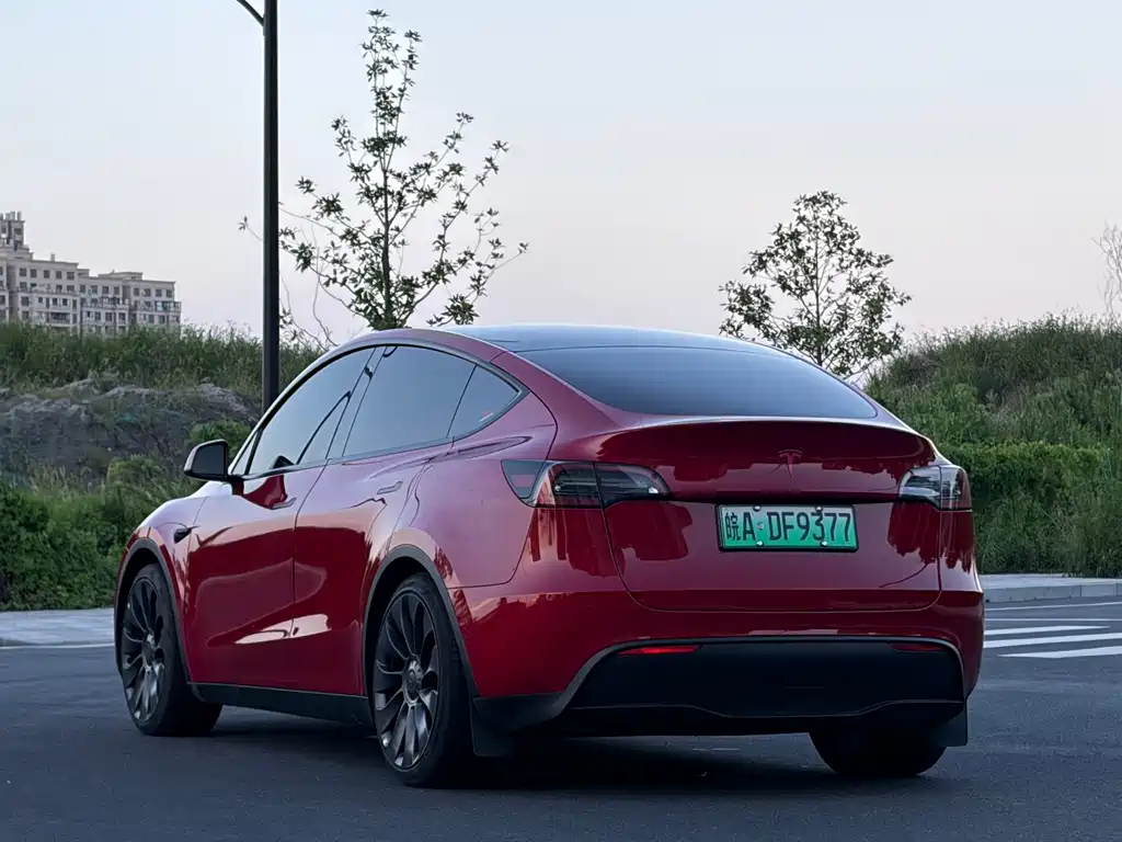Tesla Model Y — фото 4