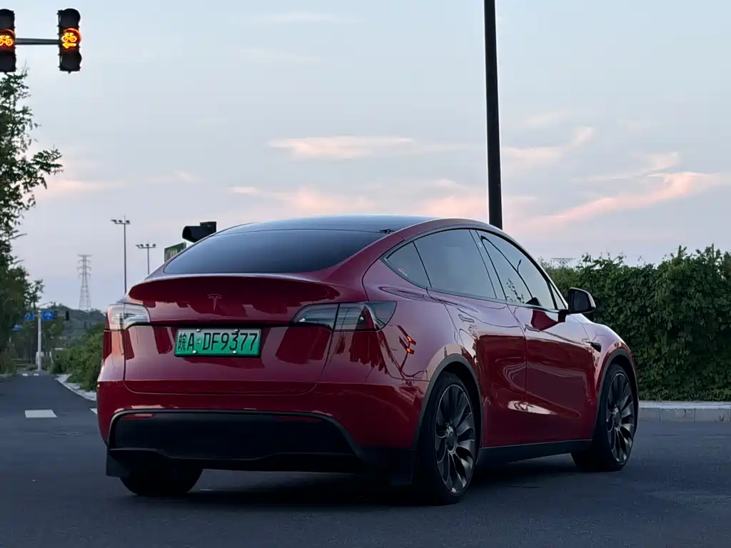 Tesla Model Y — фото 5