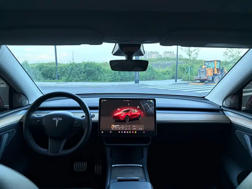 Tesla Model Y — фото 6