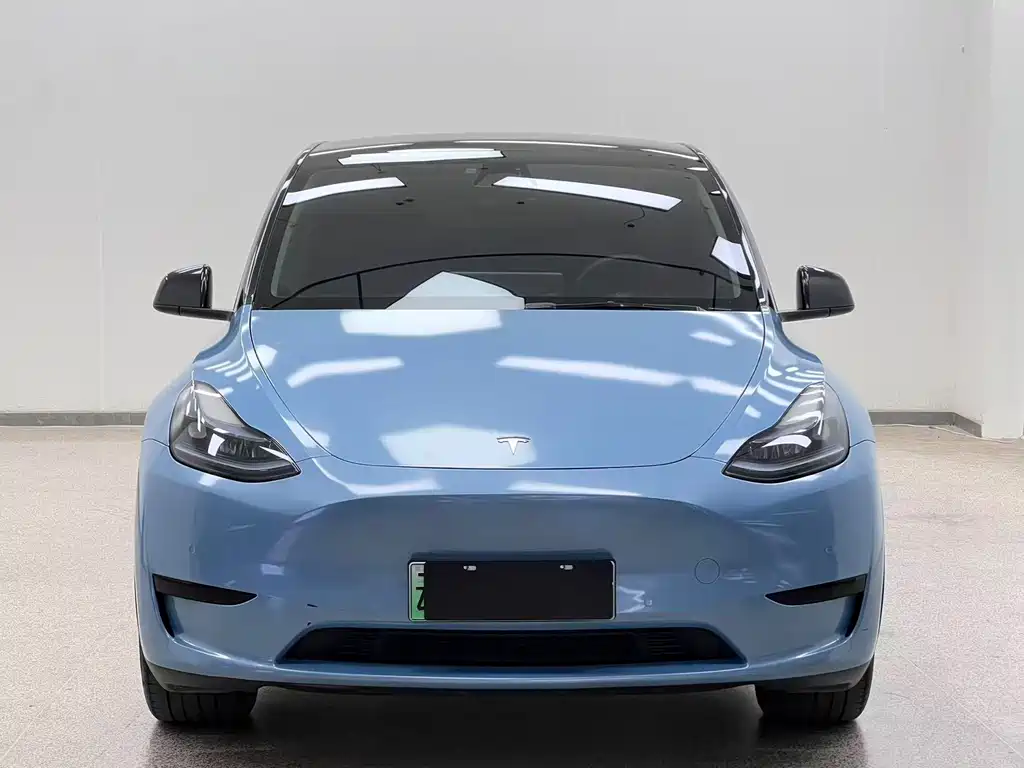 Tesla Model Y — фото 2