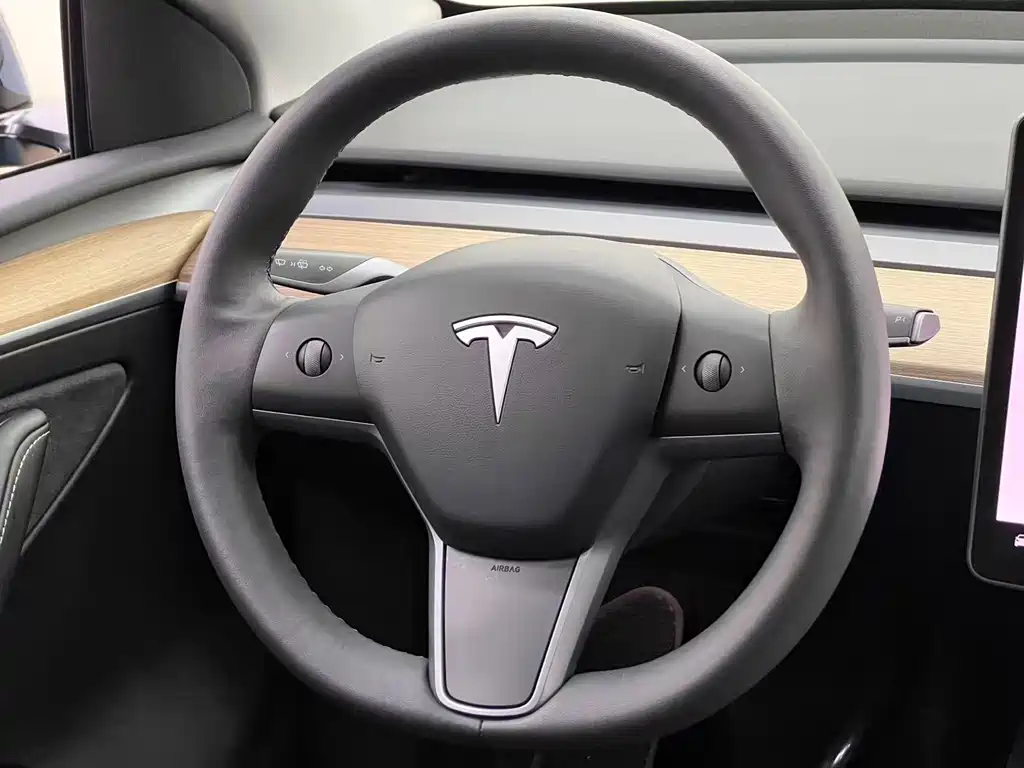 Tesla Model Y — фото 19