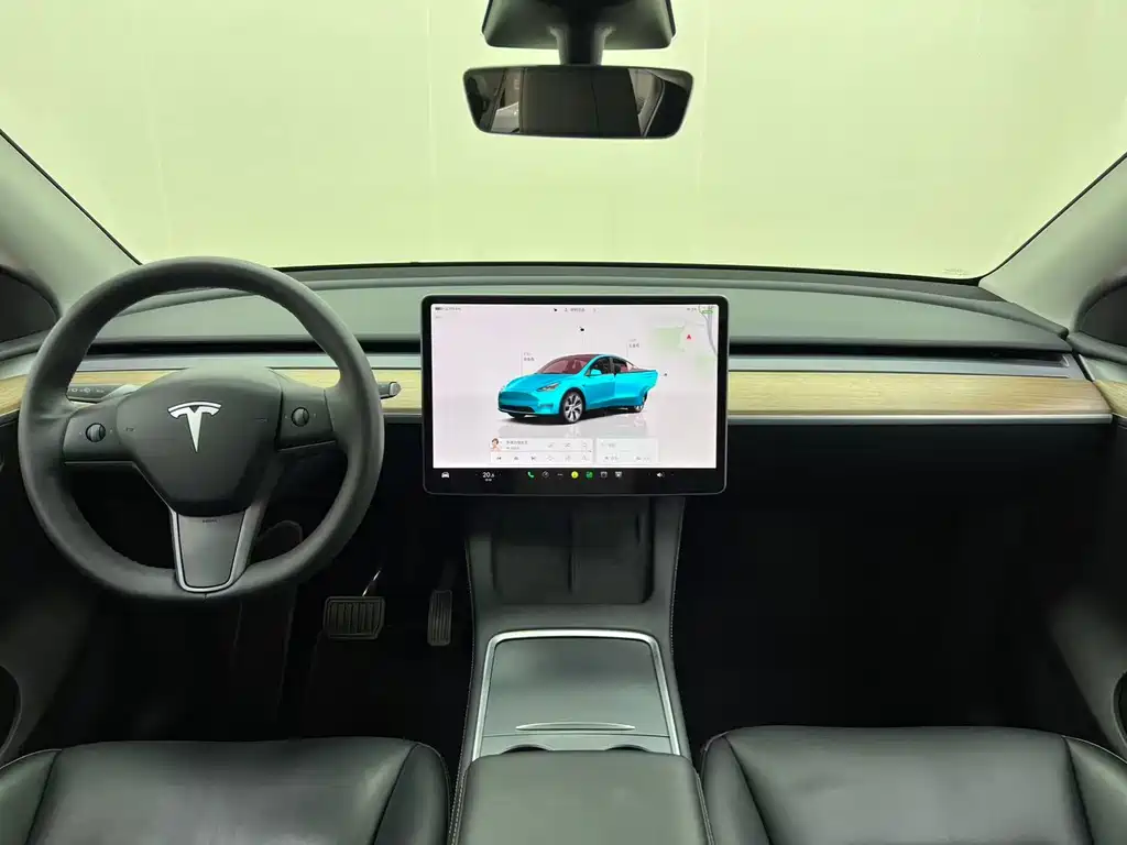 Tesla Model Y — фото 21