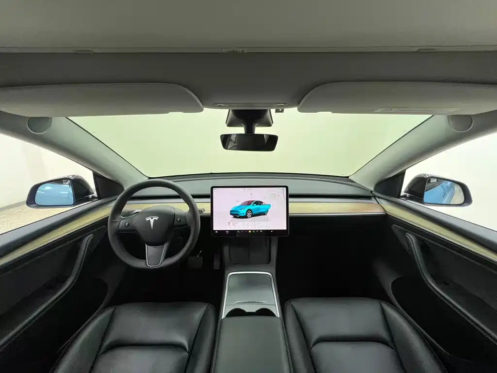 Tesla Model Y — фото 22