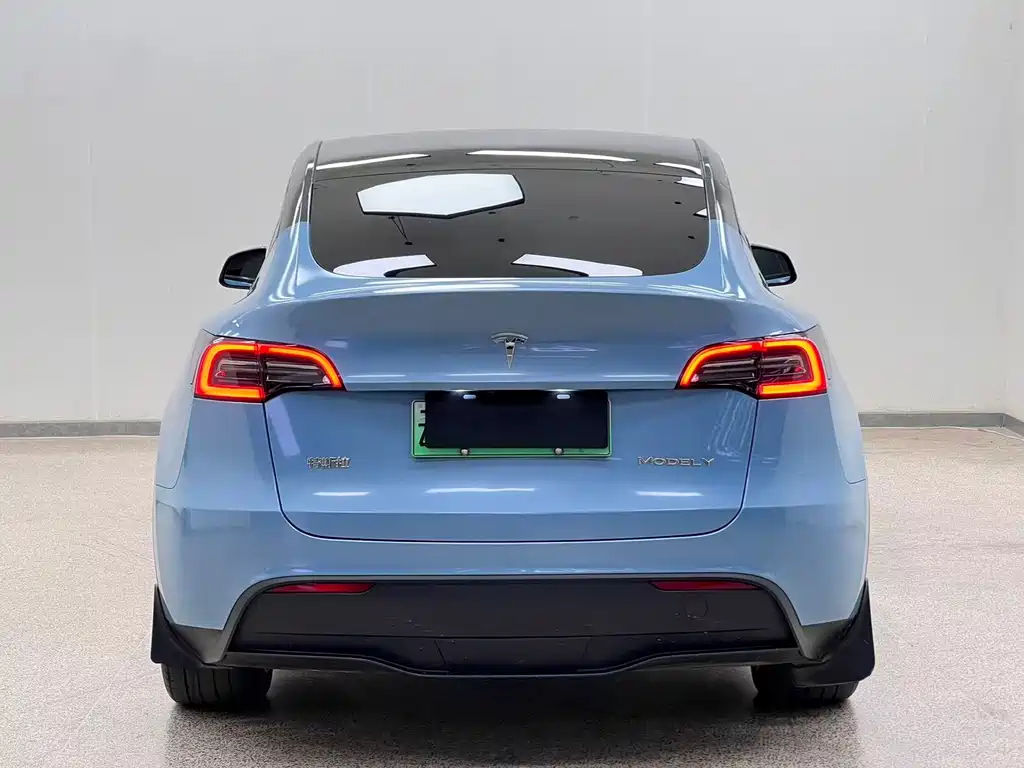 Tesla Model Y — фото 5