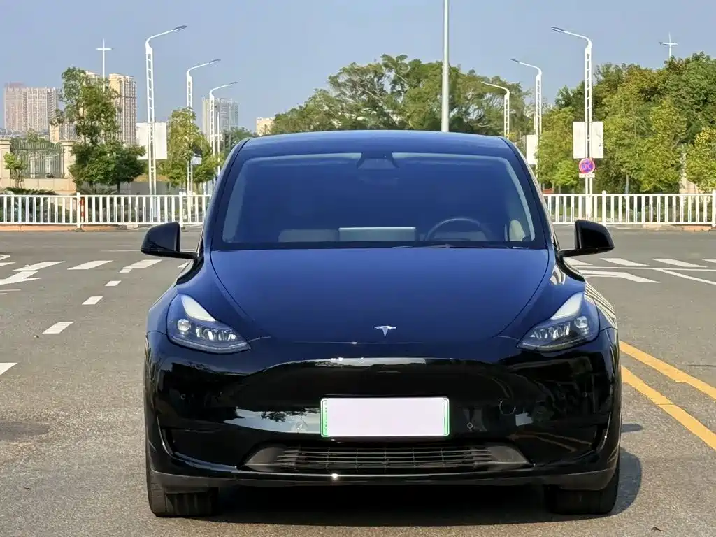 Tesla Model Y — фото 2