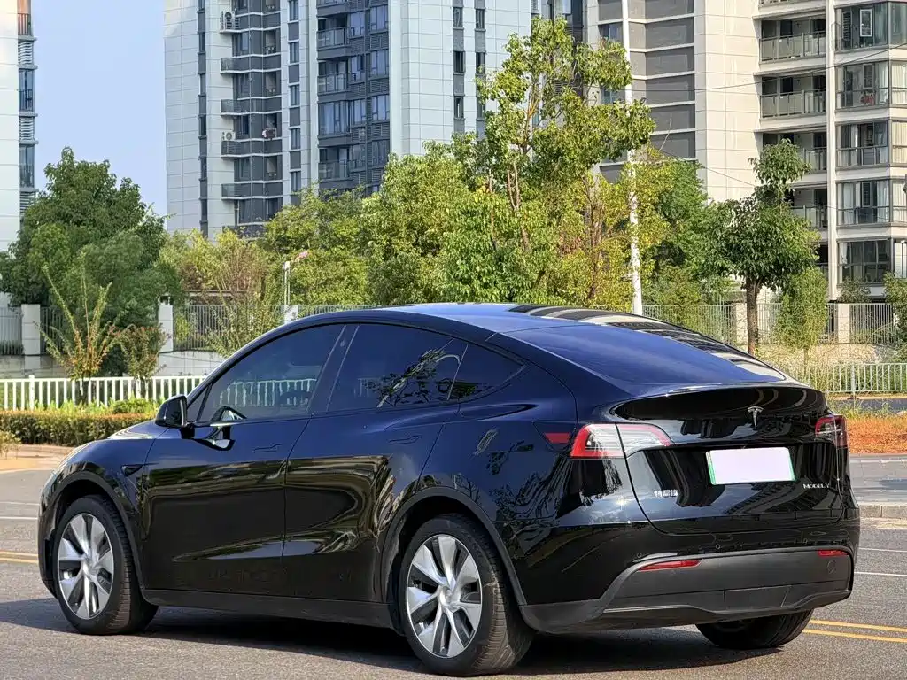 Tesla Model Y — фото 7