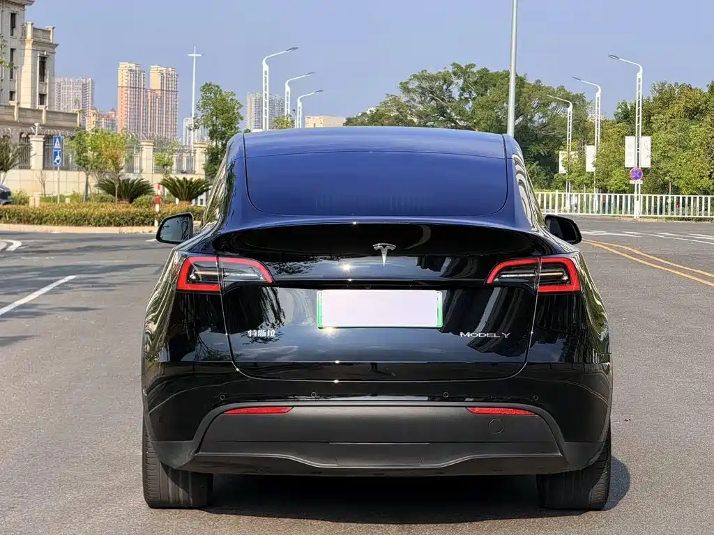 Tesla Model Y — фото 8