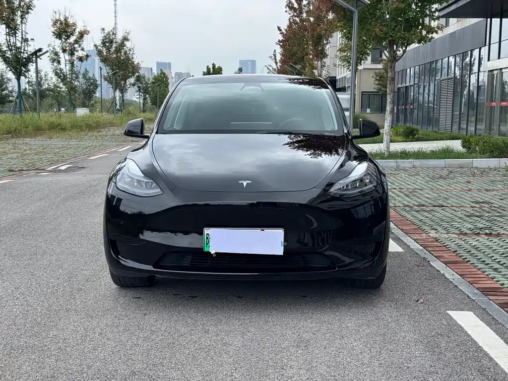 Tesla Model Y — фото 2